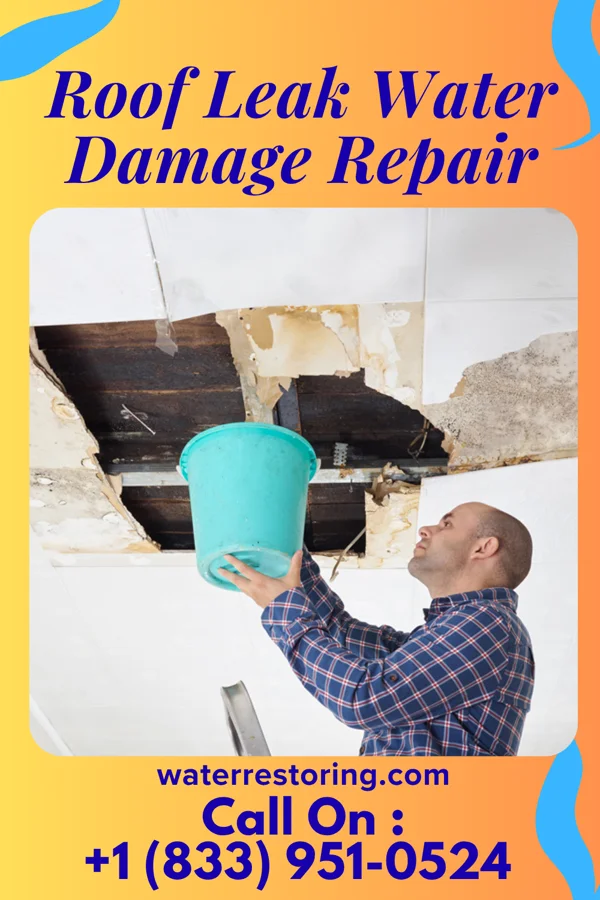 Roof Leak Water Damage Repair in Centerville, MO